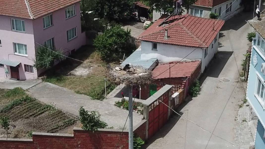 Yaren leylek ile eşi Nazlı'dan 10 gün sonra sevindiren haber! Su ve mineral kaybı ile enfeksiyon vardı 11